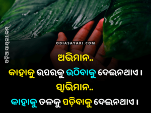Top 10 Odia Anuchinta | Best Odia Sadhu Bani 2025