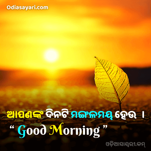 happy good morning images odia
