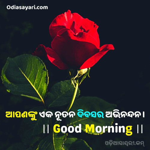 odia good morning quotes